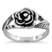 RINGS 6