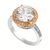 RINGS 6